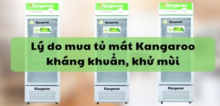 5 lý do mua tủ mát Kangaroo kháng khuẩn, khử mùi bạn nên biết