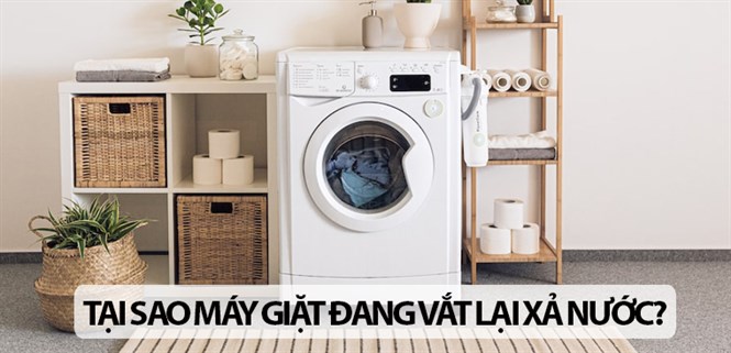 Tại sao máy giặt đang vắt lại xả nước? Tìm hiểu nguyên nhân và cách khắc phục