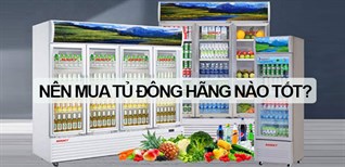 Nên mua tủ mát hãng nào tốt nhất? Top 5 tủ mát khoảng 10 triệu không nên bỏ lỡ