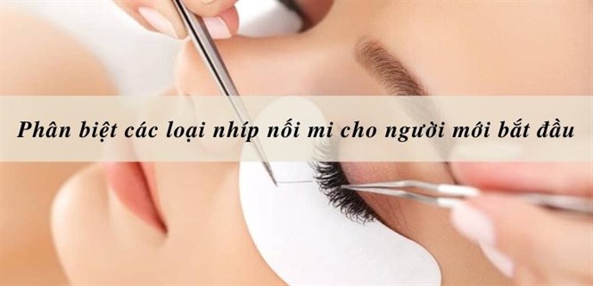 Phân biệt các loại nhíp nối mi cho người mới bắt đầu