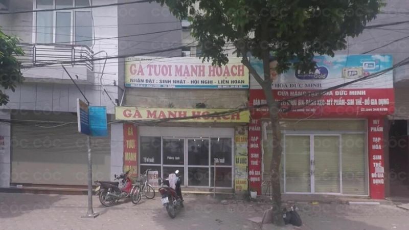 Gà Mạnh Hoạch Vạn Phúc