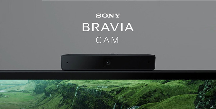 Bravia CAM