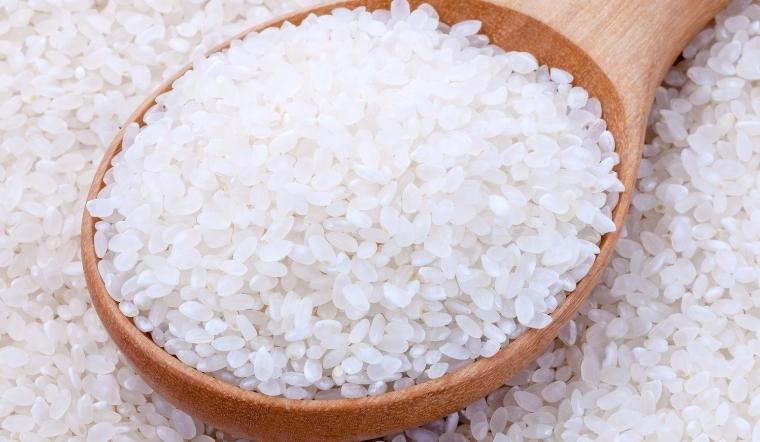 Giá lúa gạo hôm nay 29/9/2022: Tiếp tục giữ nguyên ở các giống lúa gạo