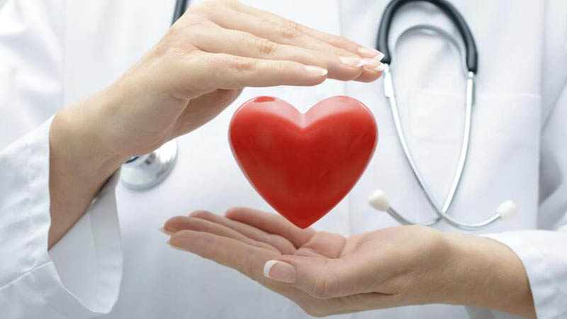 Các sản phẩm từ đậu nành có tác động tích cực đến sức khỏe tim mạch