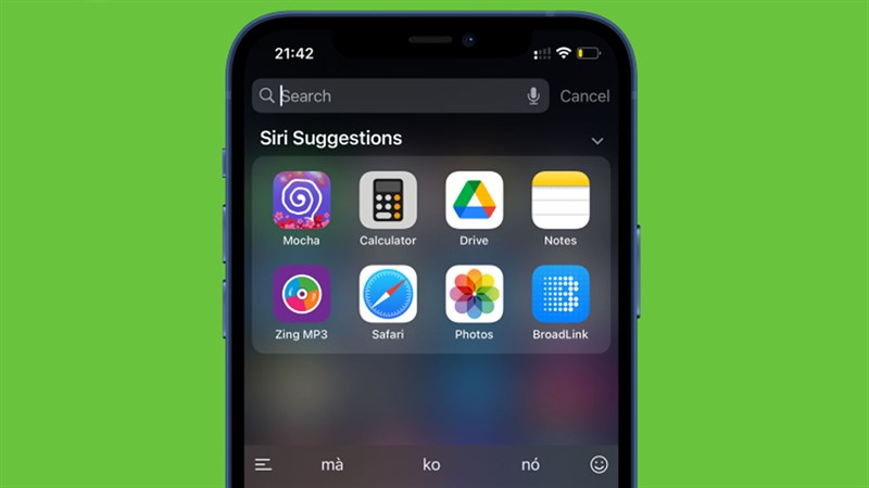 Cách tìm kiếm nhanh trên màn hình chính iPhone