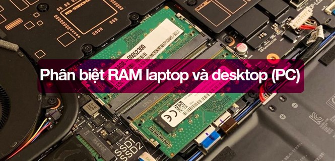 Phân biệt RAM laptop và desktop (PC). Sự giống và khác nhau giữa 2 loại