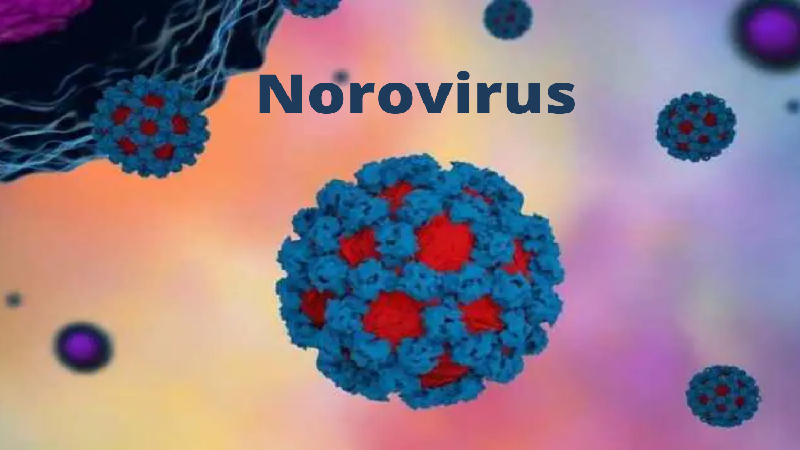 Norovirus gây ngộ độc thực phẩm