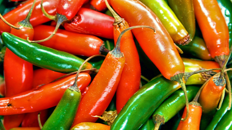 Giá ớt hôm nay 01/10/2022 mới nhất