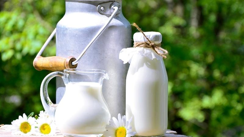 Hạn chế uống sữa để tránh kích thích tăng tiết bã nhờn trên da
