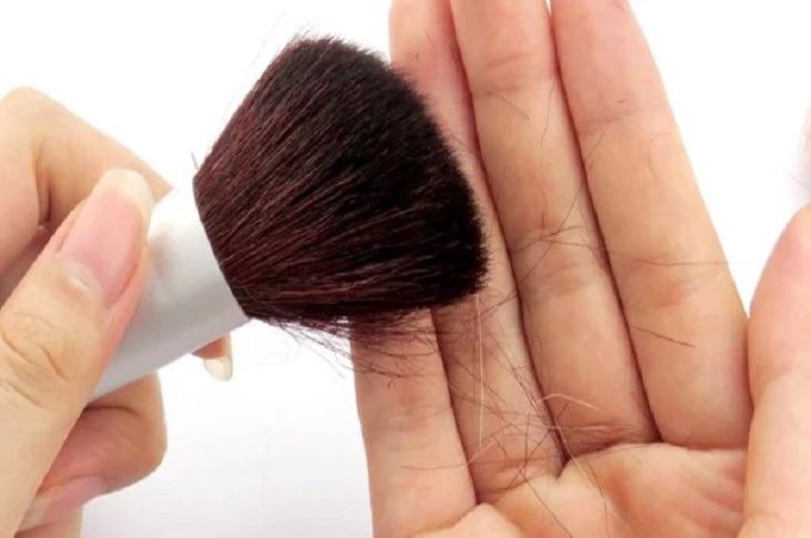 You should replace your makeup brushes when they show signs of being cracked or shedding