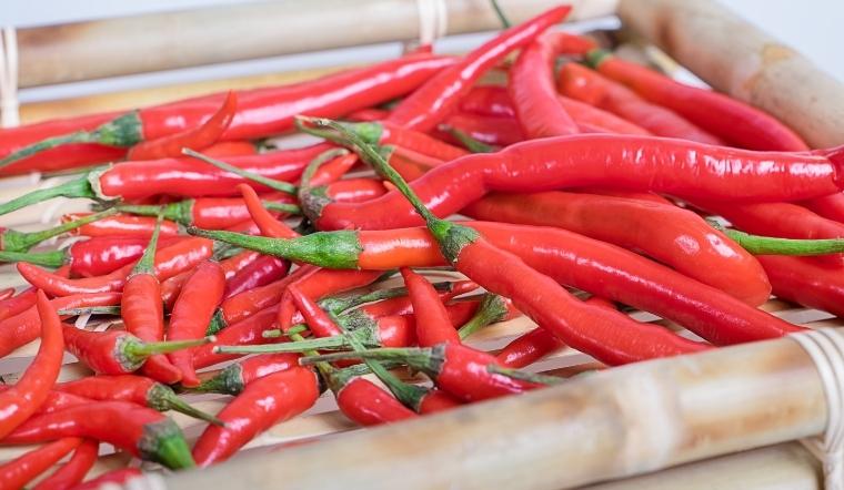 Giá ớt hôm nay 03/10/2022: Cả 3 miền tiếp tục tăng giá