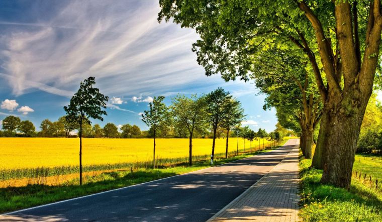 Lập hạ là gì? Lập hạ 2023 là ngày nào trong năm? 