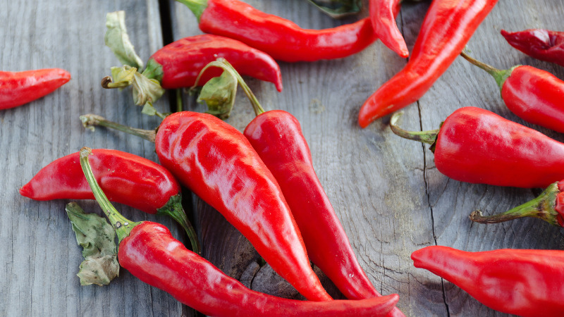 Giá ớt hôm nay 04/10/2022 mới nhất Giá ớt hôm nay 04/10/2022 mới nhất