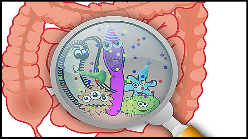 Enterogermina có tác dụng gì? 8 công dụng thuốc Enterogermina cần biết