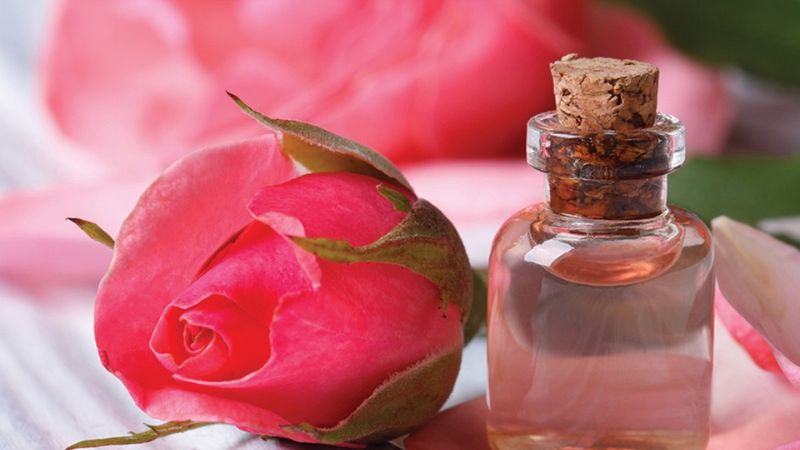 Roses have moisturizing, anti-inflammatory, and anti-aging properties