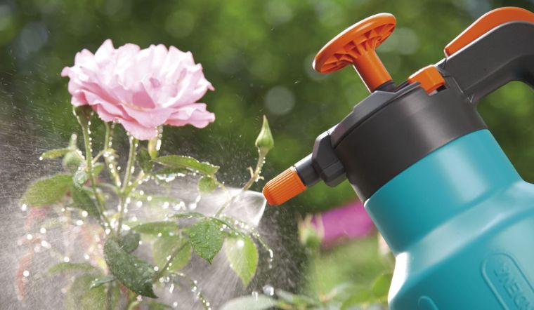 Tự pha nước dinh dưỡng tưới cây, cây lớn nhanh như thổi