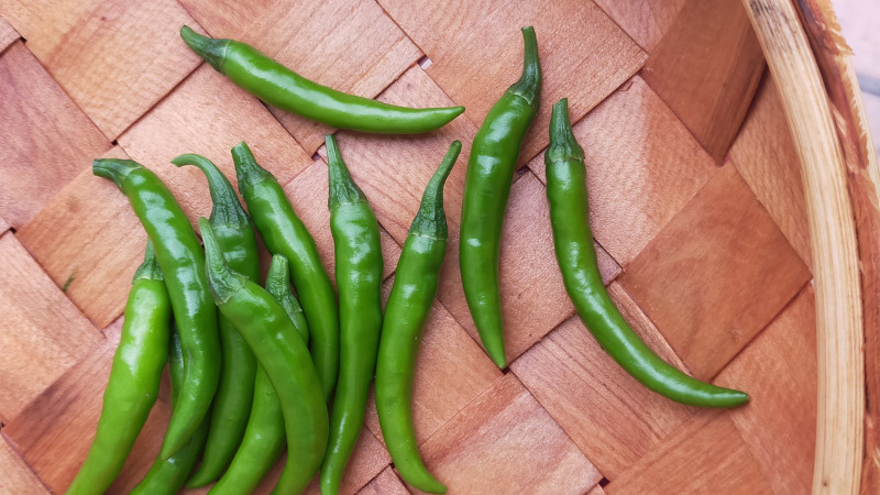 Giá ớt hôm nay 05/10/2022 mới nhất