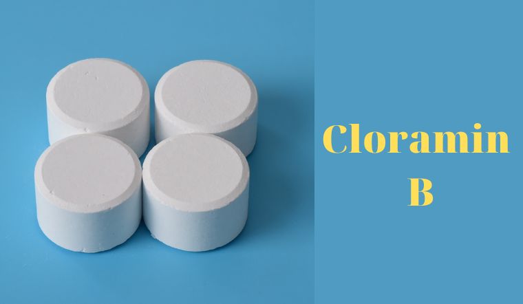 Cloramin B là gì? Có nên dùng Cloramin B để khử trùng tại nhà? 