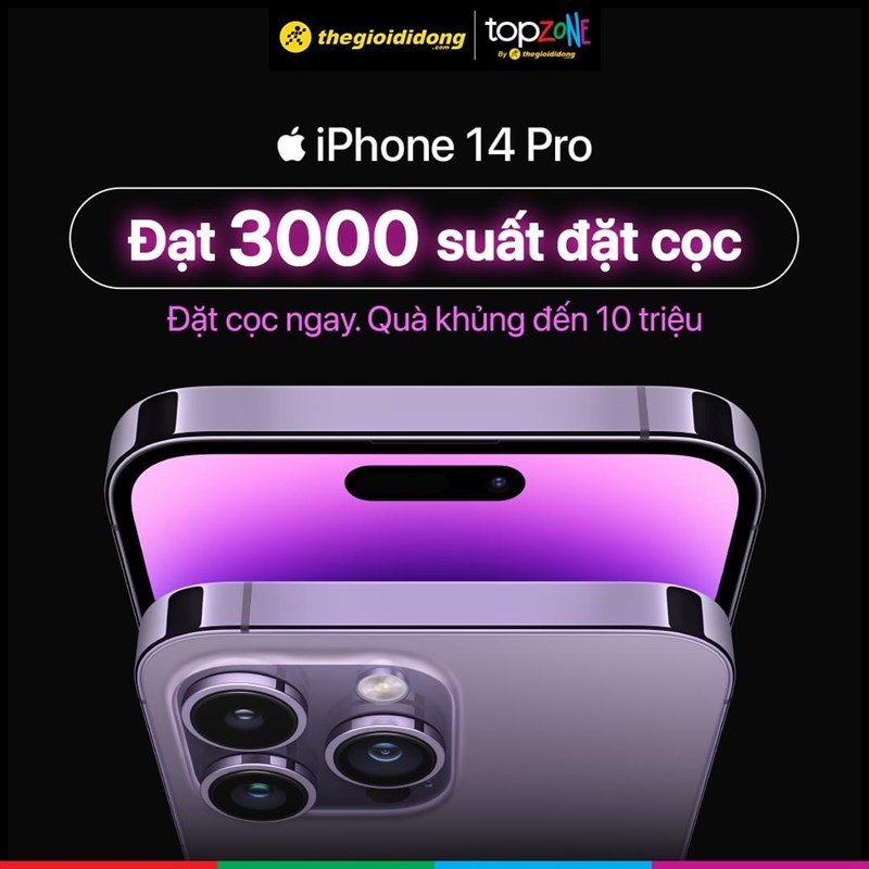 3.000 suất đặt cọc
