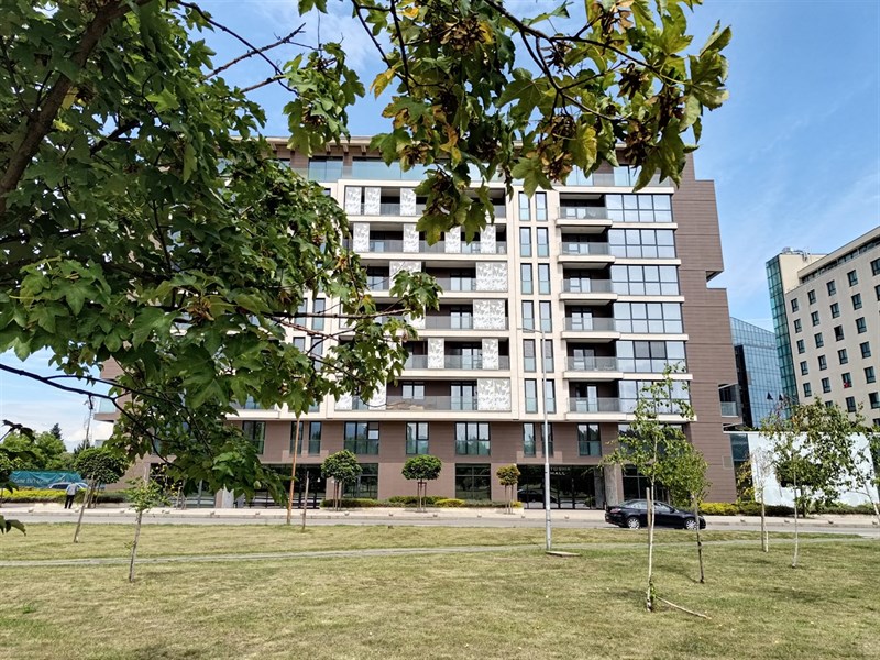 Ảnh chụp từ camera chính với độ phân giải mặc định 12.5 MP.