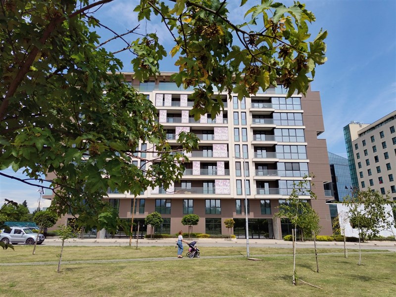 Ảnh chụp từ camera chính với độ phân giải 50 MP.