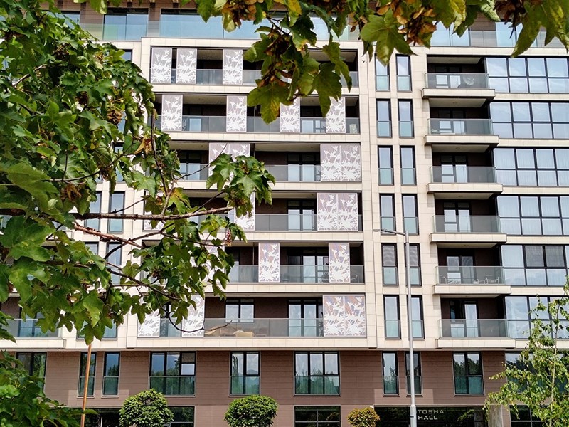 Ảnh chụp từ camera chính với độ phân giải mặc định 12.5 MP, zoom 2x.