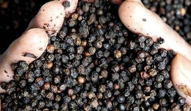 Giá tiêu hôm nay 8/10/2022: Giảm 1.000 đồng/kg, dao động 60.500-63.500 đồng/kg