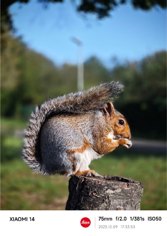 Ảnh chụp từ hệ thống camera của Xiaomi 14. Nguồn: Xiaomi.