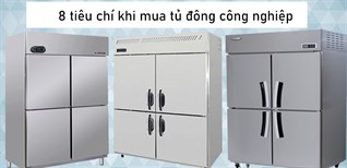 8 tiêu chí chọn mua tủ đông công nghiệp phù hợp