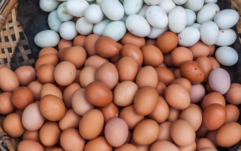 Giá trứng gà hôm nay 10/10