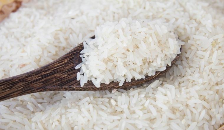 Giá lúa gạo hôm nay 10/10/2022: Nếp khô Long An tăng 100 đồng/kg