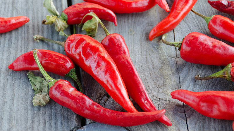 Giá ớt hôm nay 10/10/2022 mới nhất