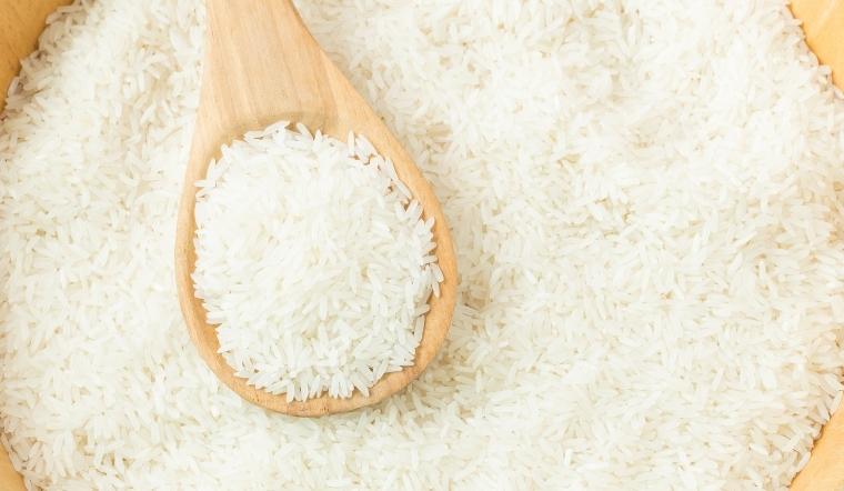 Giá lúa gạo hôm nay 11/10/2022: Giảm 100 đồng/kg ở vài giống lúa