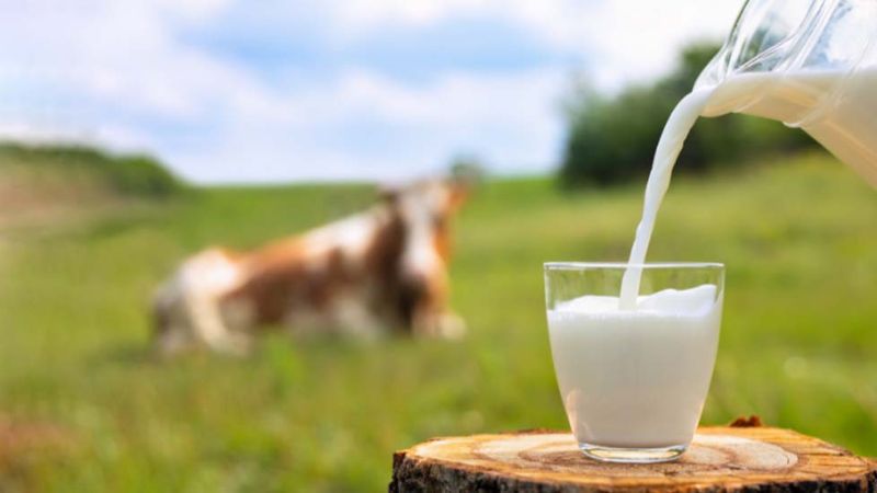 Cân nhắc việc ngưng sử dụng sữa ở bệnh nhân viêm loét dạ dày