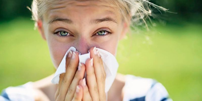 Các chất trong lá ổi có khả năng ngăn chặn phản ứng dị ứng Các chất trong lá ổi có khả năng ngăn chặn phản ứng dị ứng