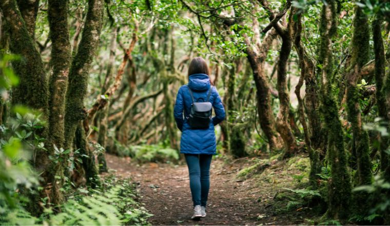 Đi du lịch rừng cần chuẩn bị những gì để đảm bảo an toàn? 