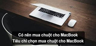 Có nên mua chuột cho MacBook? Tiêu chí chọn mua chuột cho MacBook