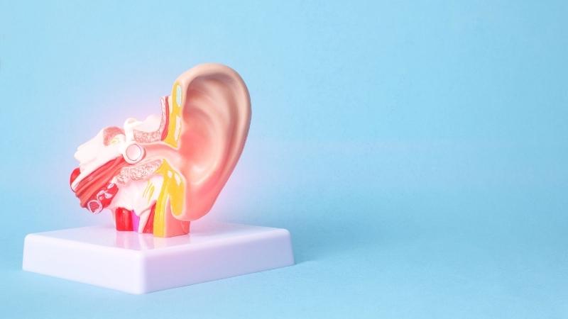 Bệnh viêm tai giữa cấp mủ ở trẻ có nguy hiểm không?