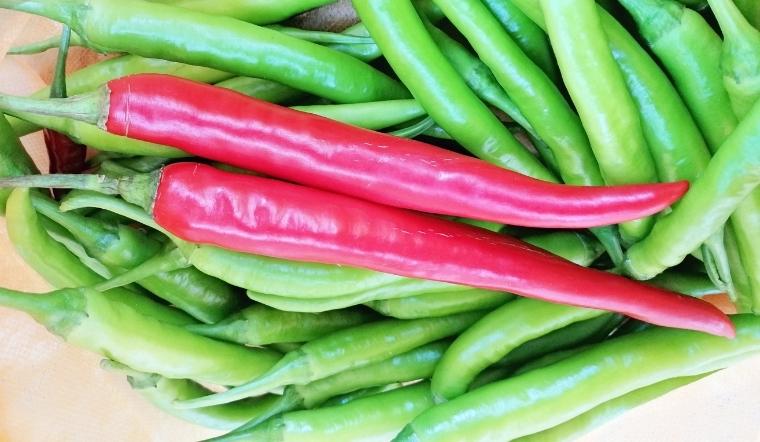 Giá ớt hôm nay 14/10/2022: Giá ớt đi ngang so với hôm qua