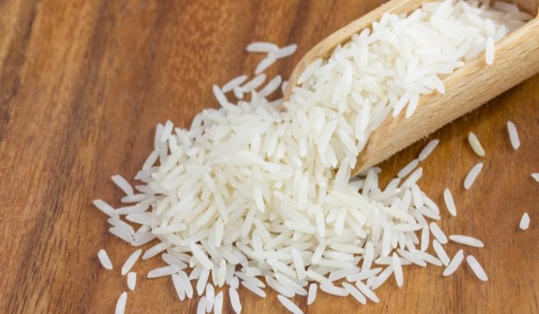 Giá lúa gạo hôm nay 14/10/2022: Lúa IR 50404 tăng 100 đồng/kg