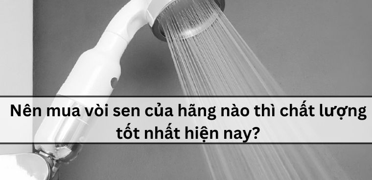 Nên mua vòi sen của hãng nào thì chất lượng tốt nhất hiện nay?
