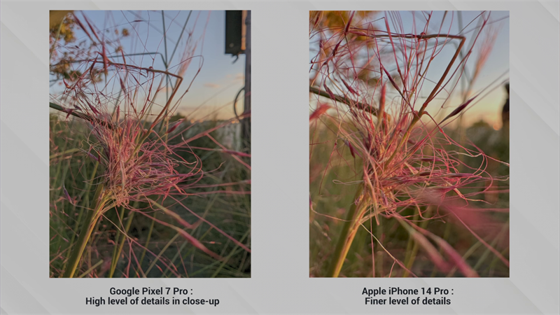 Ảnh của Pixel 7 Pro đi theo trường phái trung thực