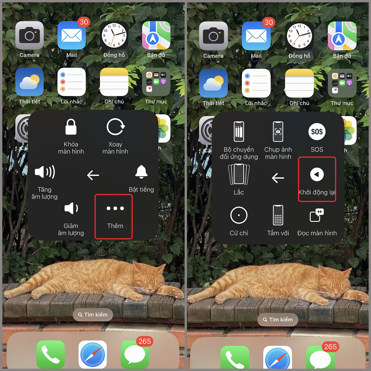Chọn Th&ecirc;m rồi nhấn Khởi động lại trong AssistiveTouch tr&ecirc;n iPhone 14