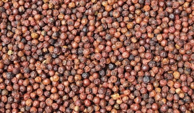 Giá tiêu hôm nay 15/10/2022: Giữ nguyên, dao động 59.500-62.000 đồng/kg