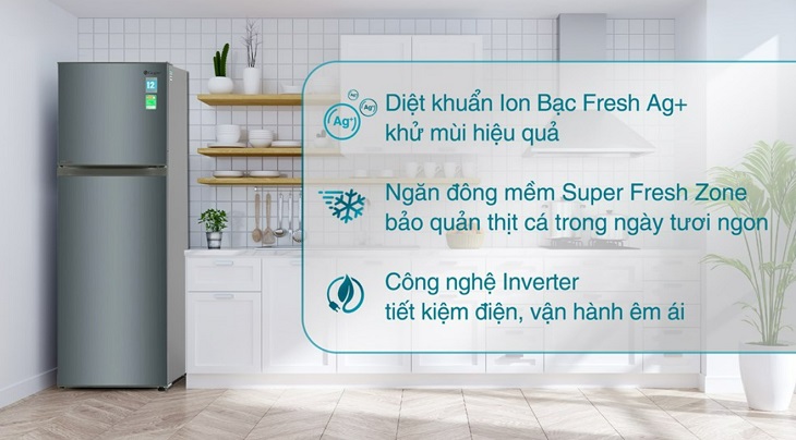 Tủ lạnh Casper Inverter 258 lít RT-270VD giúp duy trì được độ tươi ngon thực phẩm và giữ không khí bên trong tủ luôn sạch khuẩn nhờ công nghệ diệt khuẩn ion Bạc Fresh Ag+
