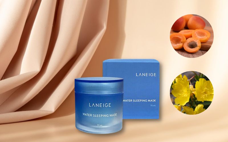 Thành phần của mặt nạ ngủ Laneige Water Sleeping Mask