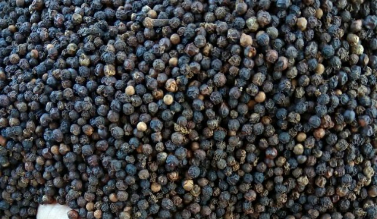 Giá tiêu hôm nay 19/10/2022: Đi ngang, dao động 58.500-61.000 đồng/kg