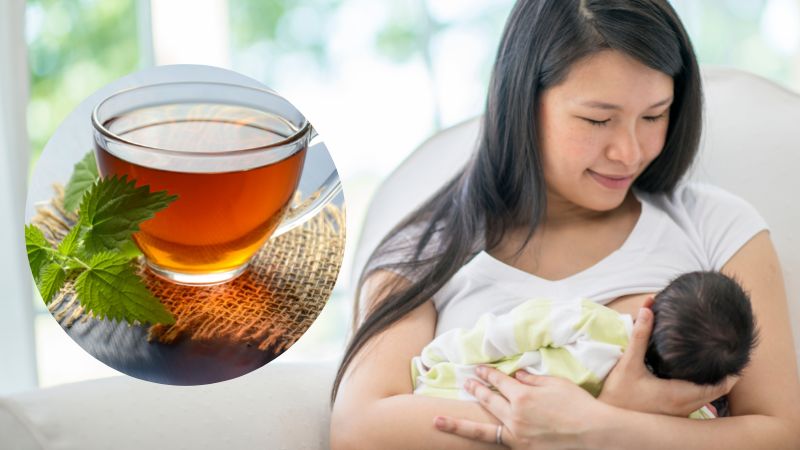 Có nên dùng trà thảo mộc khi cho con bú