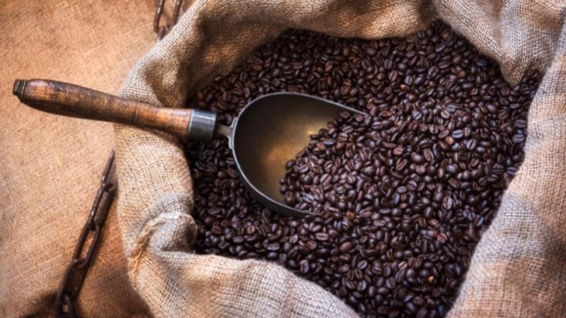 Giá cà phê trong nước hôm nay Giá cà phê trong nước hôm nay