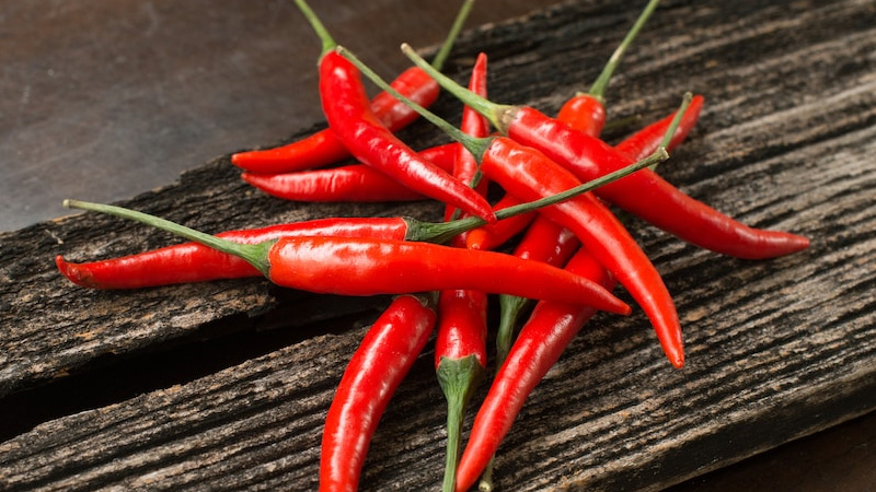 Giá ớt hôm nay 20/10/2022 mới nhất